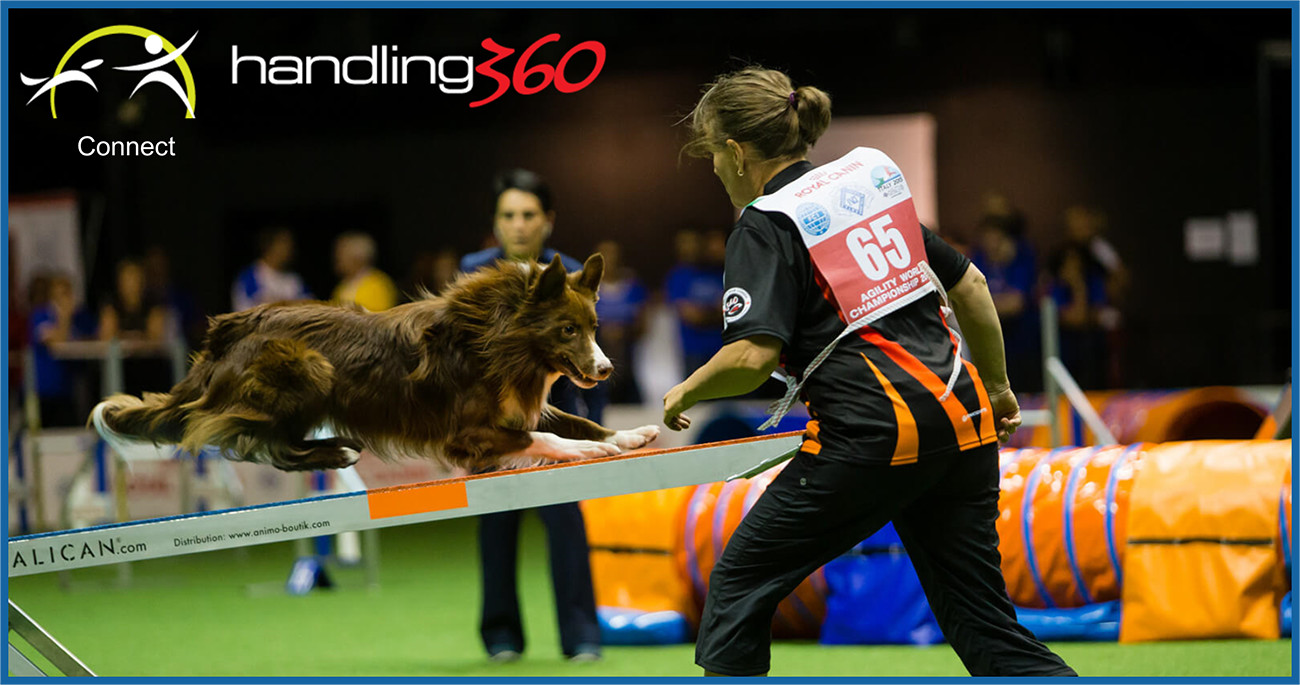 Handling360 – Susan Garrett : Handling 360 training for agility dogs ...