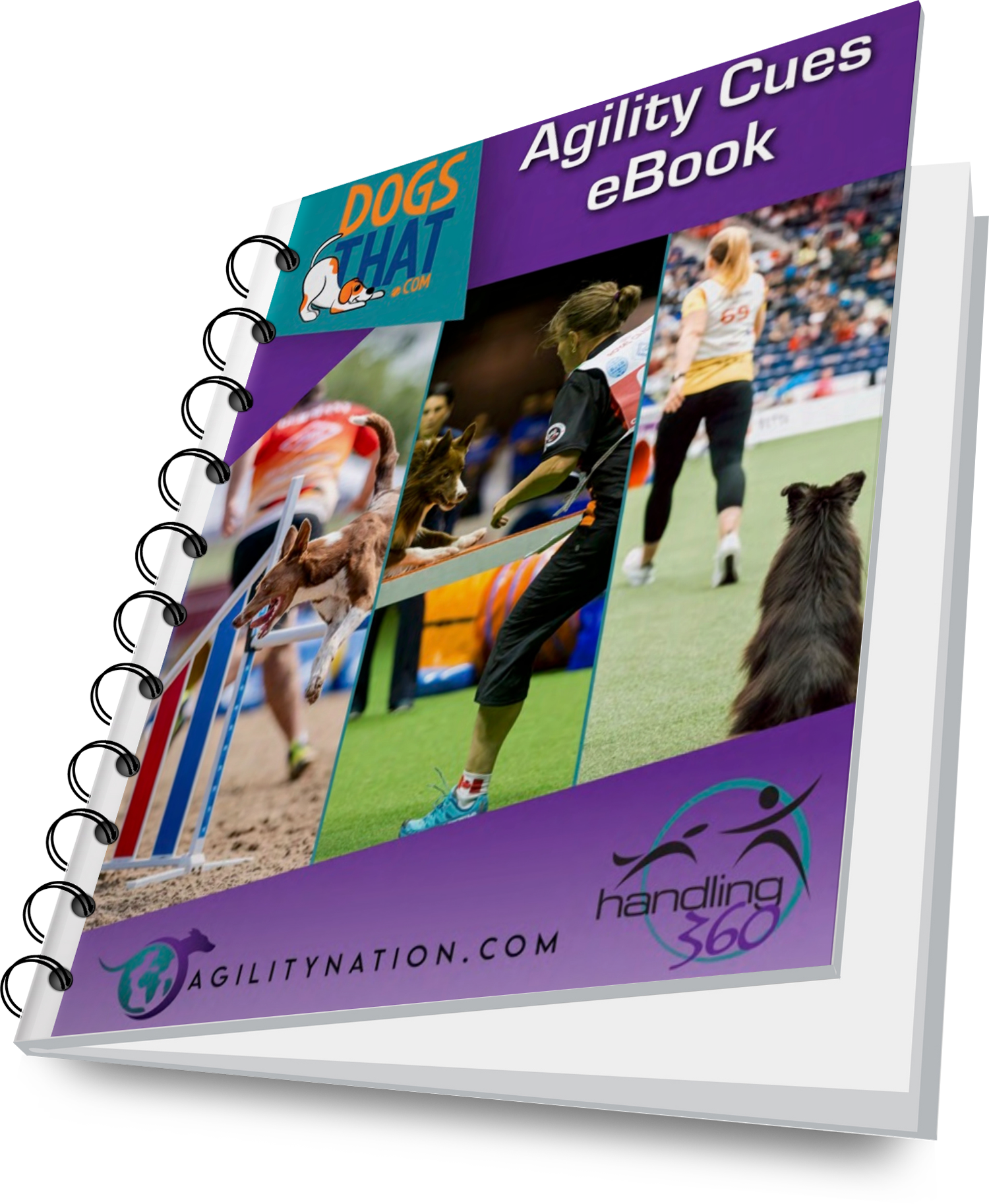 Agility Cues eBook