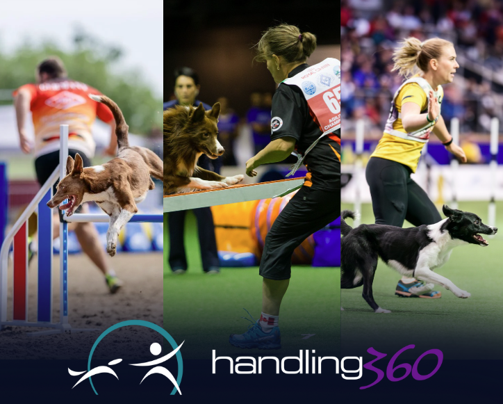 Handling360